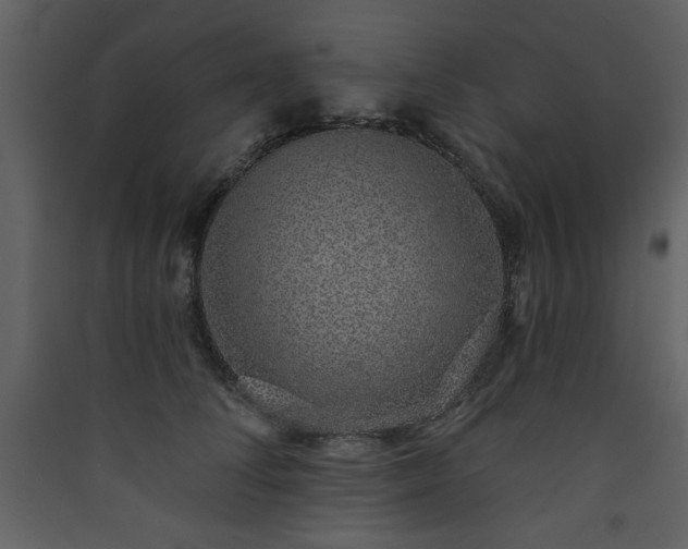 X0000090420708200707131209