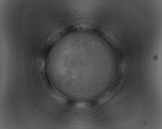 X0000090420709200707131209
