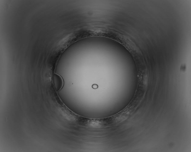 X0000090420710200707131209