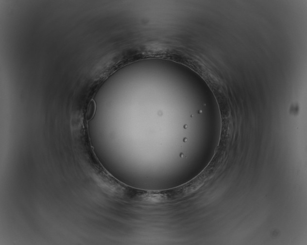 X0000090420711200707131209
