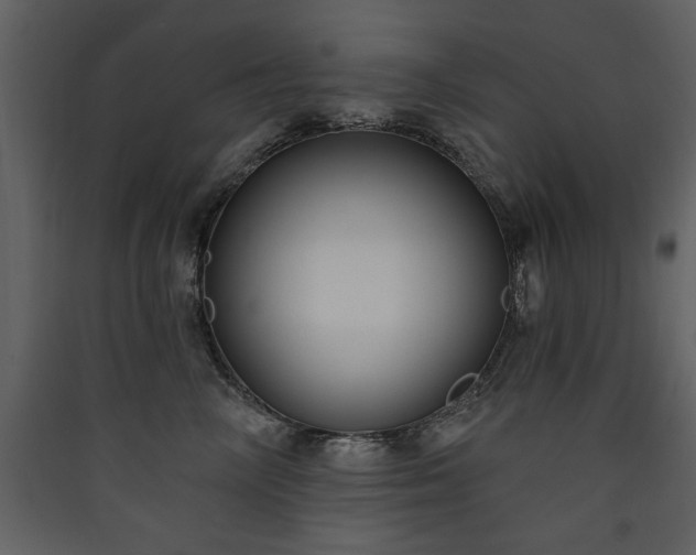 X0000090420714200707131209
