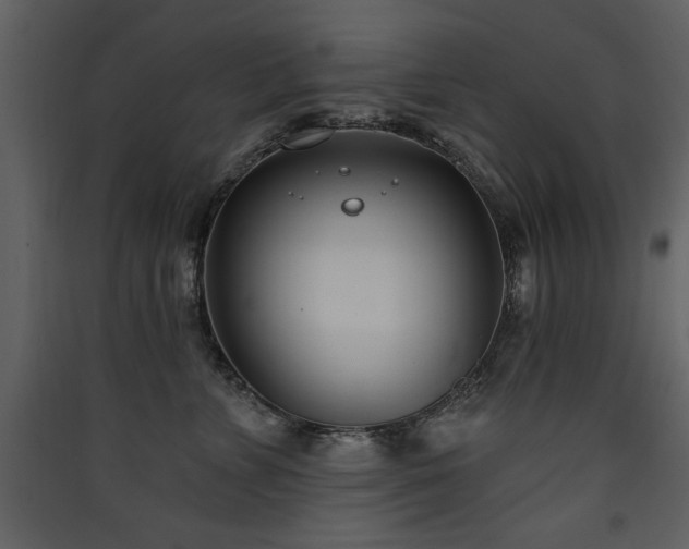 X0000090420715200707131209