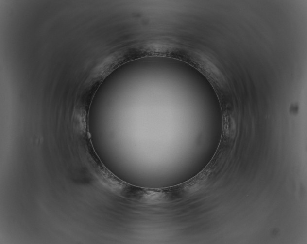 X0000090420718200707131209
