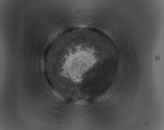 X0000090420720200707131209