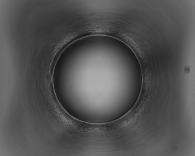X0000090420721200707131208