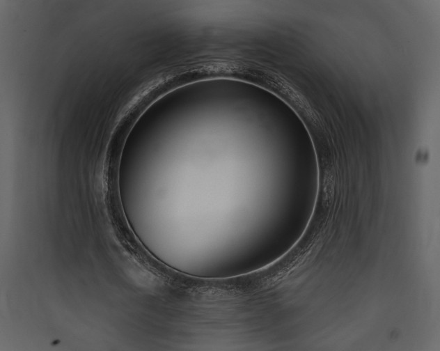 X0000090420722200707131208