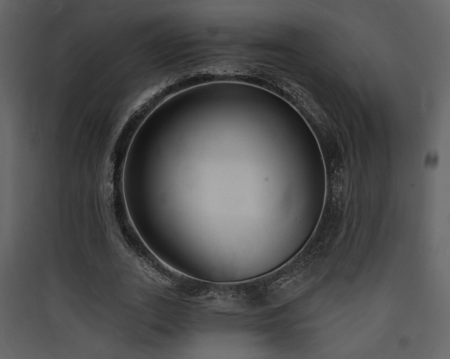 X0000090420727200707131208