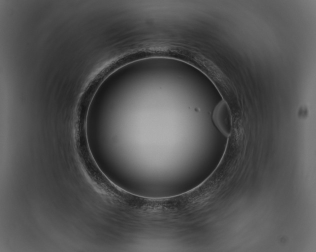 X0000090420728200707131208