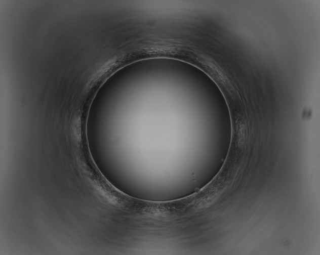X0000090420729200707131208