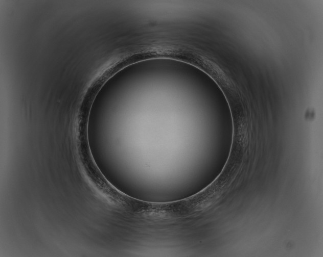 X0000090420730200707131208
