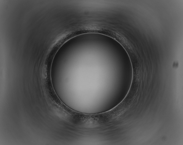 X0000090420731200707131208