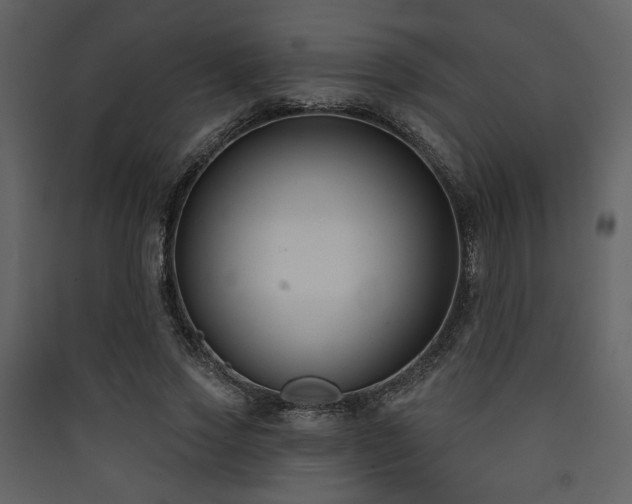 X0000090420733200707131208
