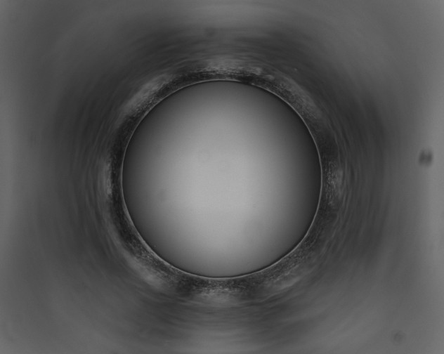 X0000090420734200707131208