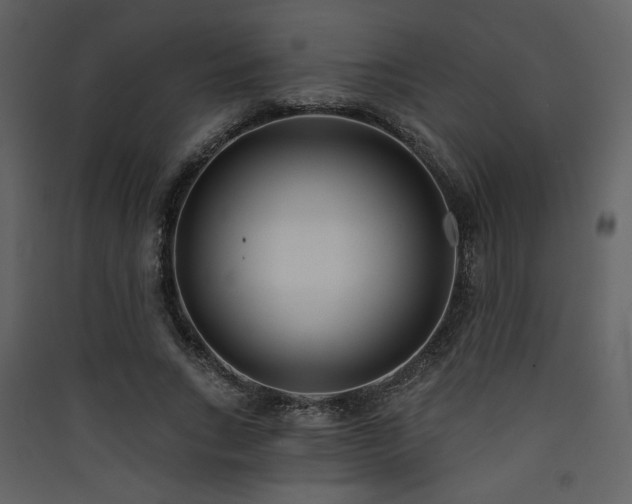 X0000090420735200707131208