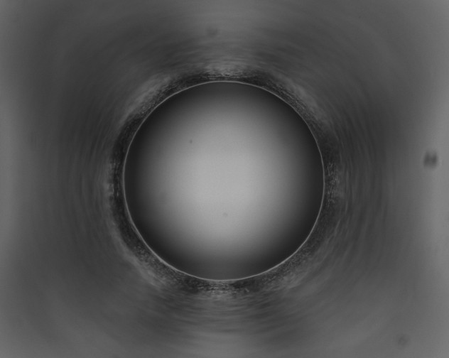 X0000090420738200707131208