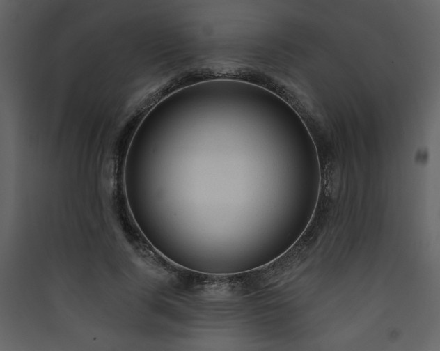 X0000090420740200707131208
