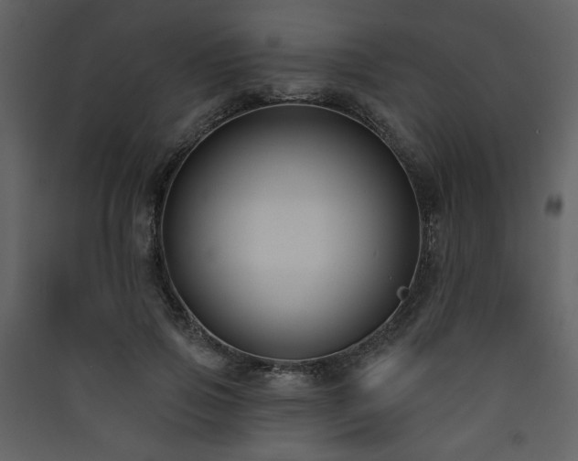 X0000090420741200707131208
