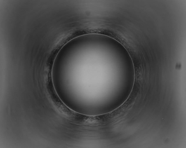 X0000090420742200707131208
