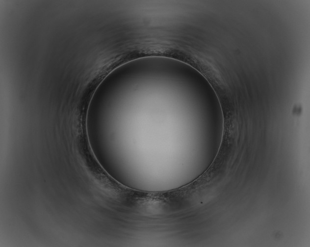 X0000090420743200707131208
