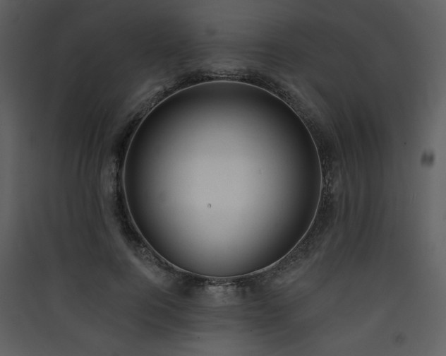X0000090420744200707131208