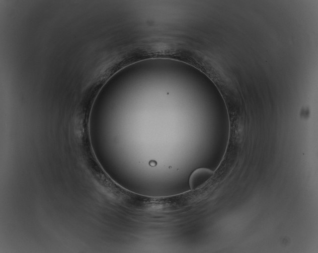 X0000090420746200707131208