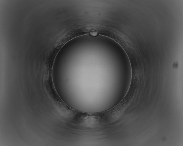 X0000090420751200707131208