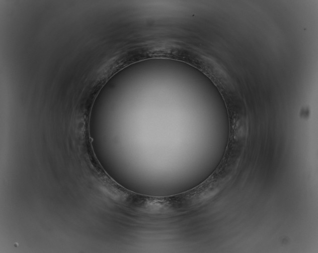 X0000090420753200707131208