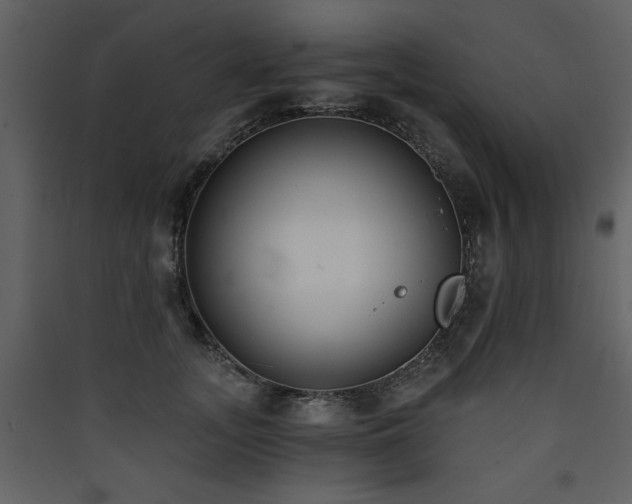 X0000090420755200707131208