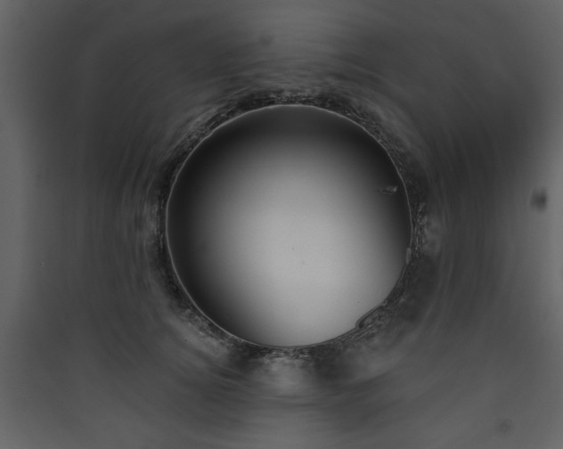 X0000090420756200707131208