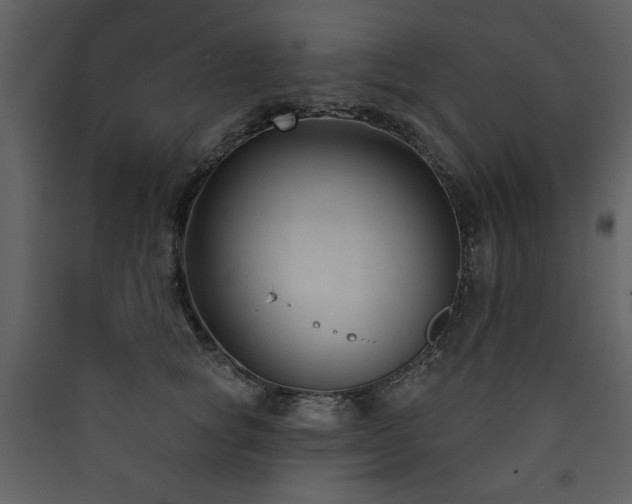 X0000090420757200707131208