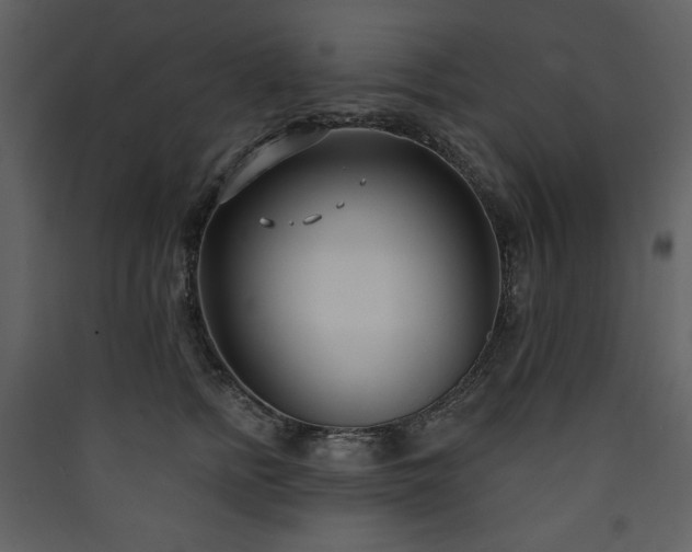 X0000090420758200707131208