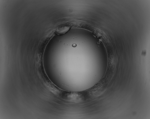 X0000090420759200707131208