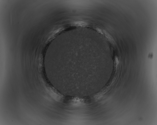 X0000090420760200707131208