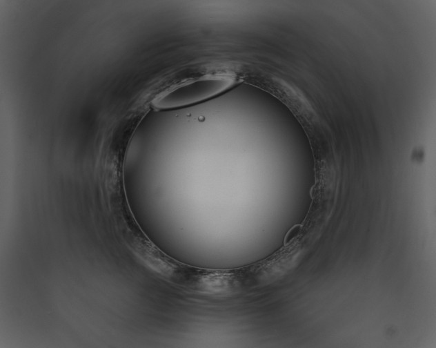 X0000090420761200707131208