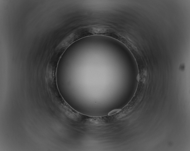 X0000090420763200707131209