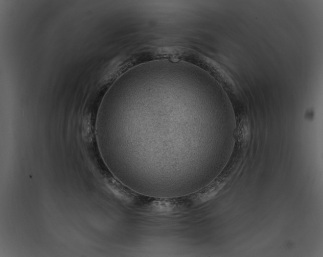 X0000090420764200707131209