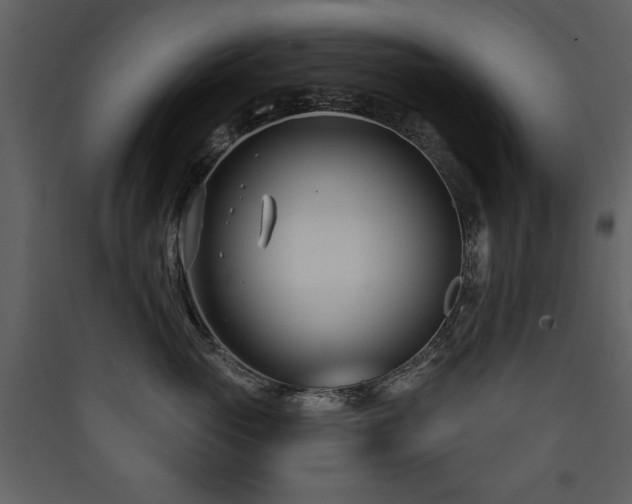 X0000090420765200707131209