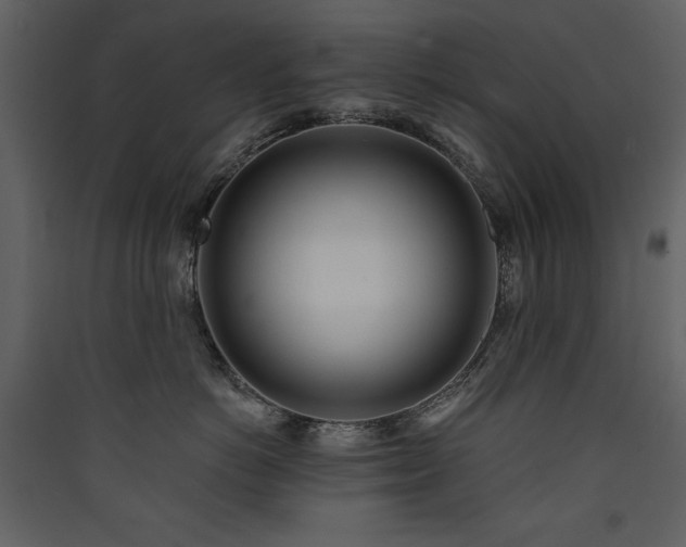 X0000090420766200707131209