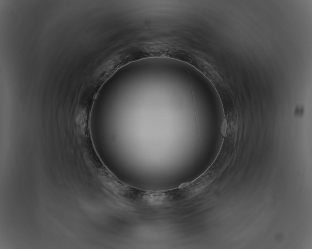 X0000090420767200707131209