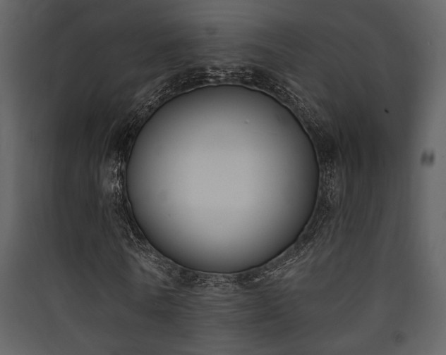 X0000090420770200707131208