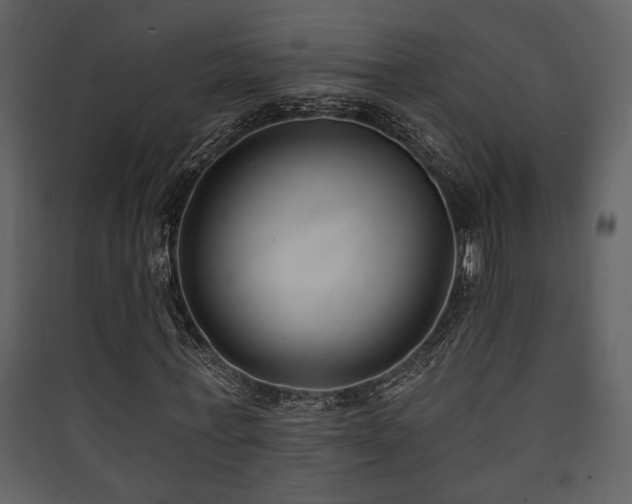 X0000090420771200707131208