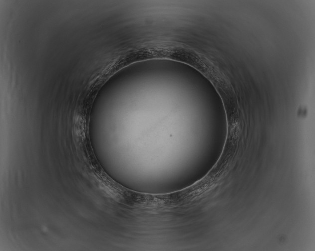X0000090420772200707131208