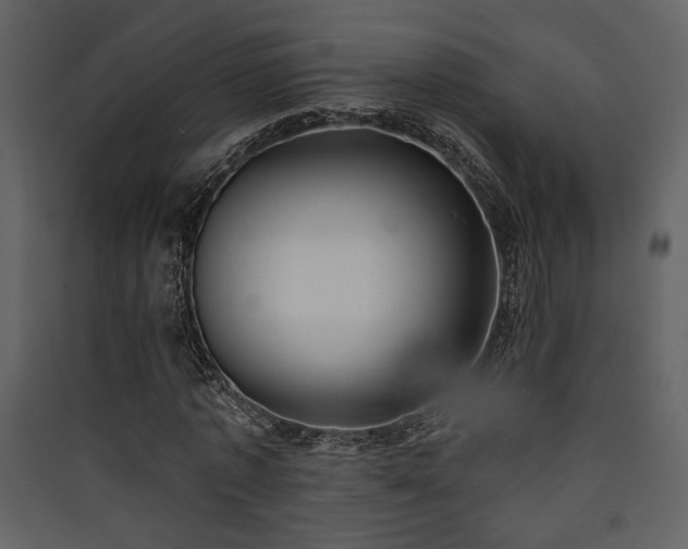 X0000090420773200707131208