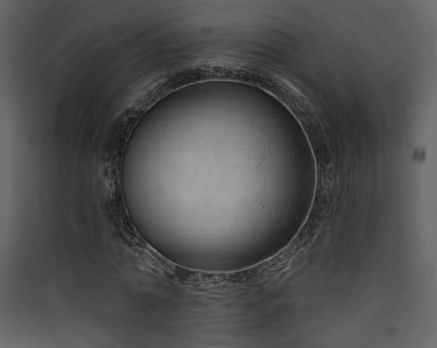 X0000090420774200707131208