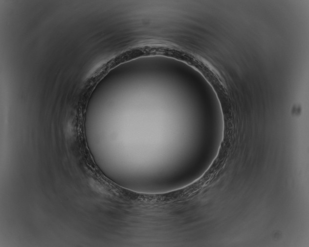 X0000090420775200707131208
