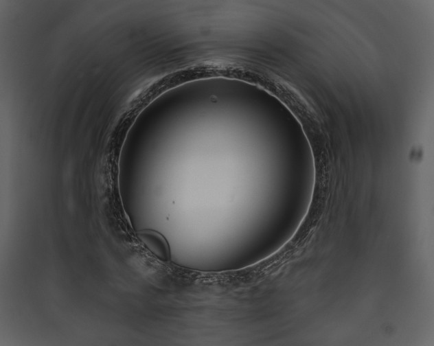 X0000090420776200707131208
