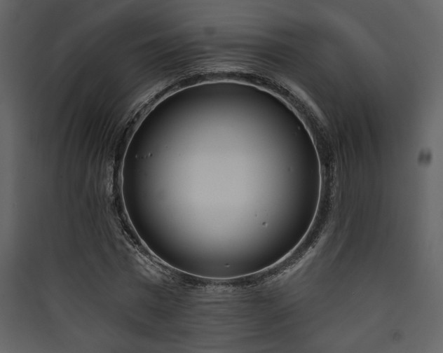 X0000090420777200707131208