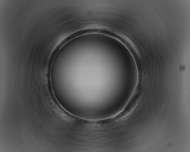 X0000090420783200707131208