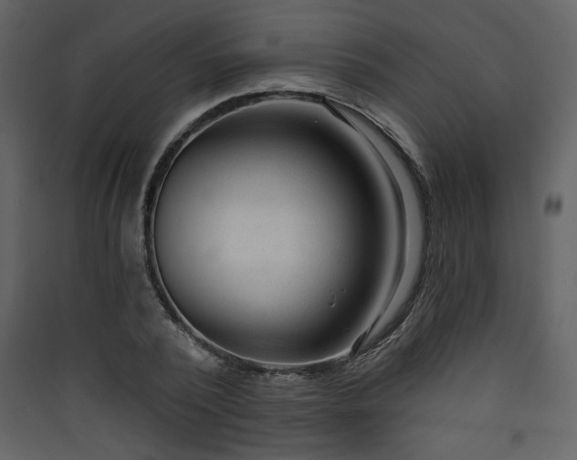 X0000090420784200707131208