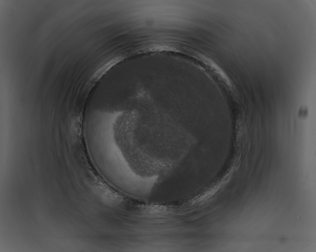 X0000090420785200707131208